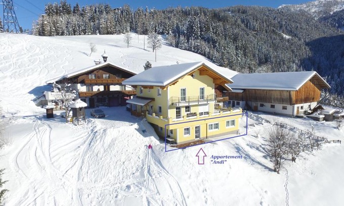 Wagrain Apartamento | Appartement Andi