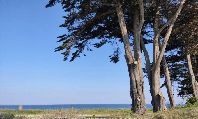 Morbihan Apartamento | Appartement au rdc Lumineux à 100m de la Plage Port Haliguen