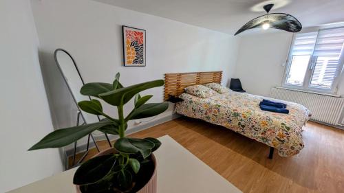 Barr Apartamento | Appartement centre de Barr