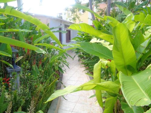 Port-Louis Apartamento | Appartement charmant à Port-Louis avec jardin clôturé