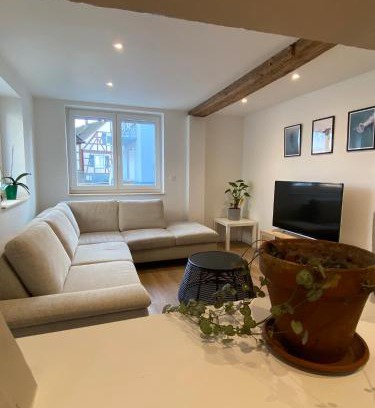 Soufflenheim Apartamento | Appartement confortable