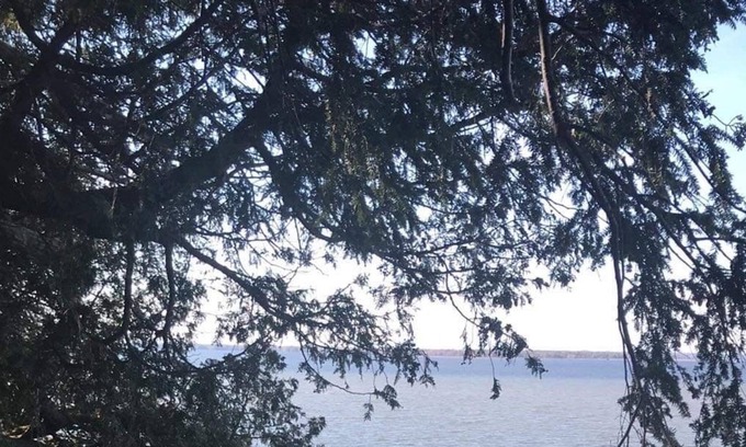 Saint-Armand Apartamento | Appartement directement sur le bord du Lac Champlain
