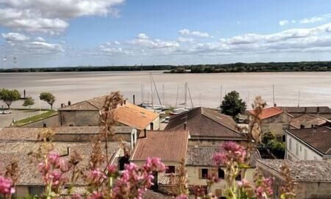 Bourg-sur-Gironde Apartamento | Appartement en coeur de village