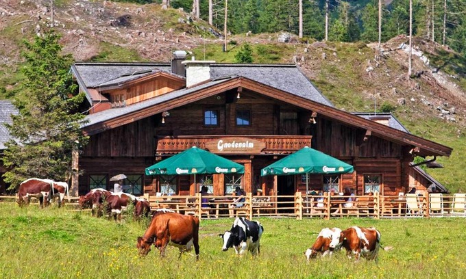 Untertauern Apartamento | Appartement Gnadenalm