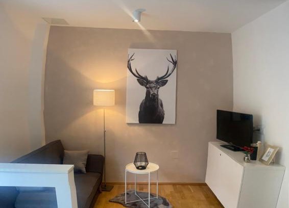 Geidorf Apartamento | Appartement in Graz-Geidorf