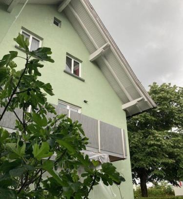 Bregenz Apartamento | Appartement Jäger