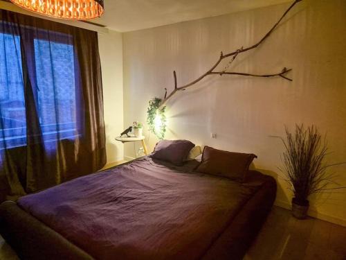 Kunstenkwartier Apartamento | Appartement met groot terras