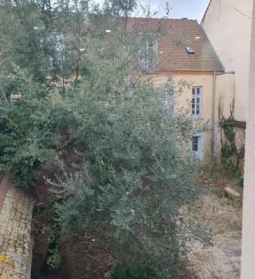 Limeil-Brevannes Apartamento | Appartement moderne à Limeil-Brévannes de 56 m² avec jardin