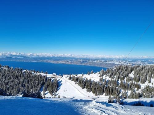 Thollon-les-Memises Apartamento | Appartement typique de montagne
