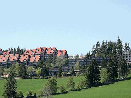 Schonach im Schwarzwald Apartamento | Appartmentvermietung Terrassenpark Schonach