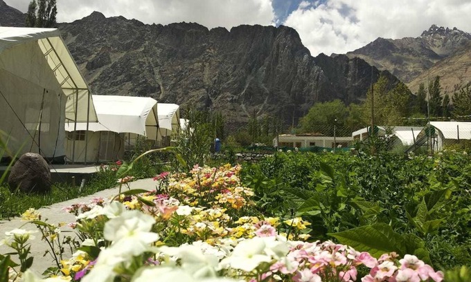 She Alquiler De RV | Apple Cottage Nubra - Glamping