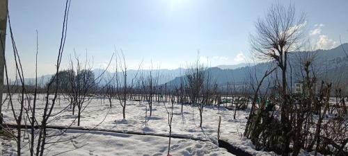 Pahalgam Apartamento | Apple Garden view and restaurant