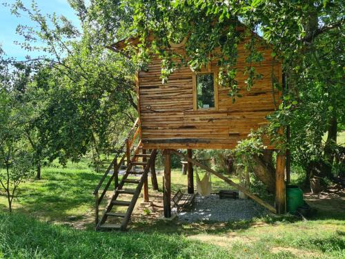 Valea Mare-Pravat Otro | Apple Tree Cabin (Friendship Land)