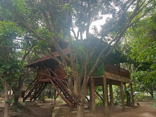 Palomino Apartamento | apto cabaña