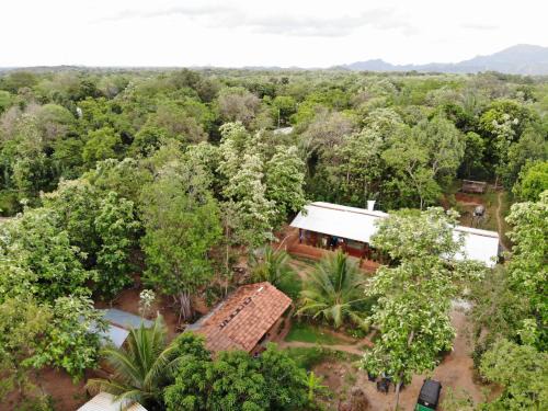 Dambulla Complejo | Araliya resort dambulla with free cooking class