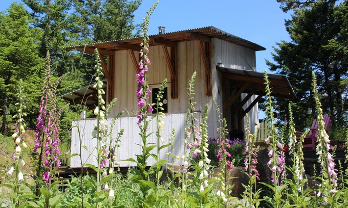 Pender Island Cabaña | Arquitecto diseñado cabina en el bosque, isla Pender