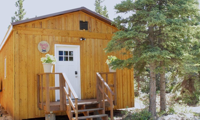 Healy Cabina | Arctic Dragonfly Inn