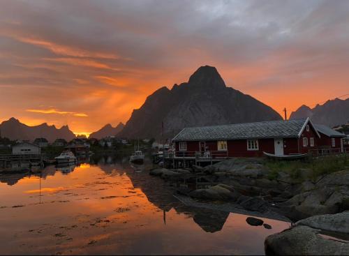 Moskenes Casa | Arctic Fishermans Lodge- SAUNA included
