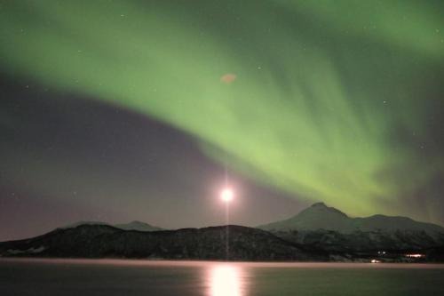 Balsfjord Apartamento | Arctic Sky Sanctuary