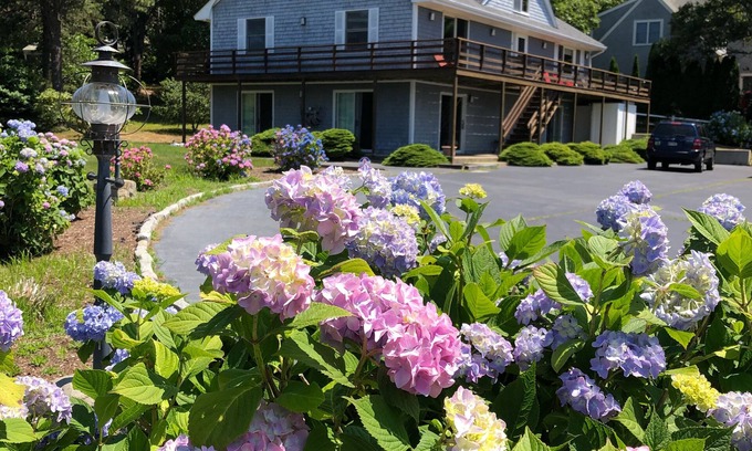 South Harwich Casa | ¿No estás pensando en el verano en este momento? ¡Días cálidos y noches frescas disponibles!