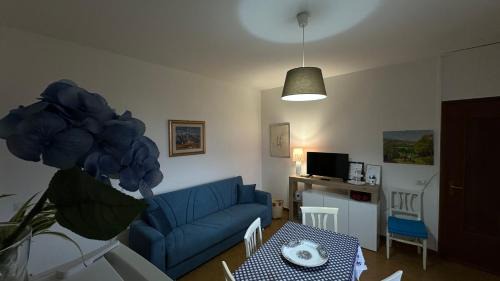 Arena Po Casa | Arena Po