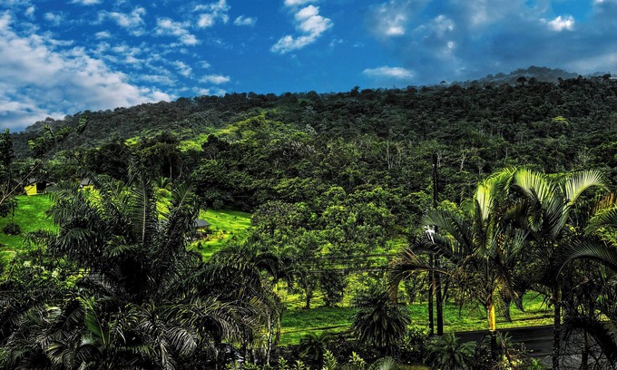 Aguas termales de Arenal Hotel | Arenal Roca Lodge
