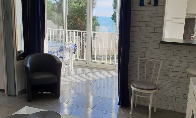 Argeles Plage Apartamento | Argelès- la línea de costa (renovado) - Vista maravillosa 20m Playa (acceso directo) - wifi