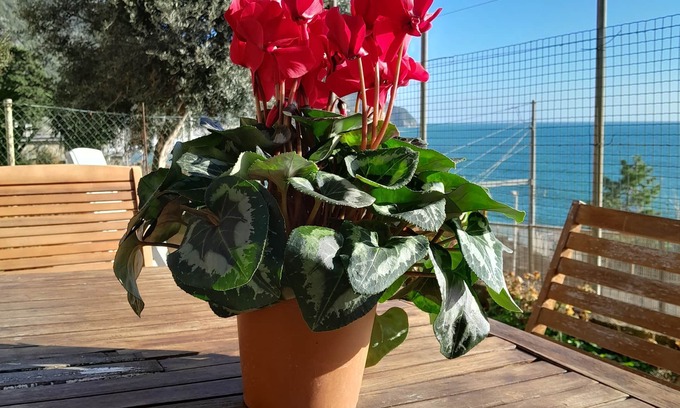 Corniglia Apartamento | CASA DE ARIANNA EN EL MAR (código citra: 011030-LT-0156