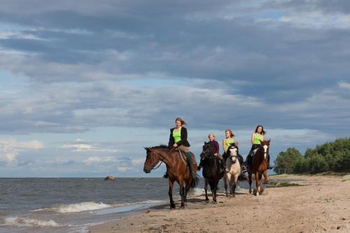 Rutja Casa | Arma Riding Farm And Holiday Home