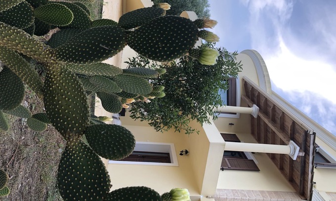 Liapades Casa | AROMIA CORFU EN CORFU El apartamento está ubicado en una villa en el área de Paliο