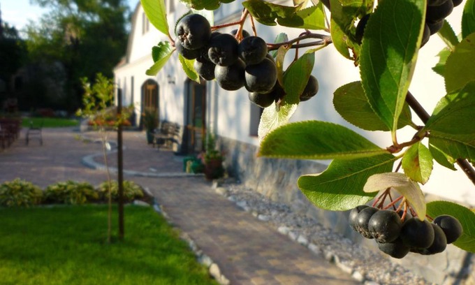 Lubiechowa Casa | Aronia Park