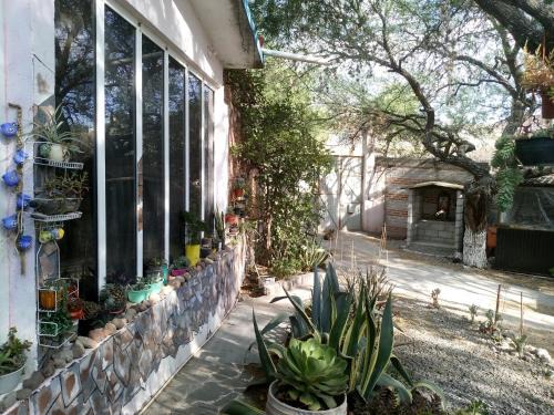 San Miguel de Allende Apartamento | ARTE-MAZCAL