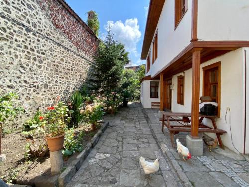 Trabzon Villa | Asiye Hanım Konağı