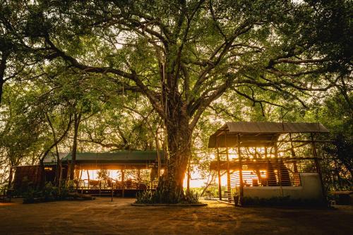 Shakawe Casa | ASKIESBOS - Samochima Bush Camp