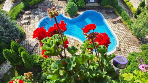 Razlog Apartamento | Aspen Suites A403 - Sky & Stars Dreamers