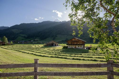 Grossarl Apartamento | Astlhof