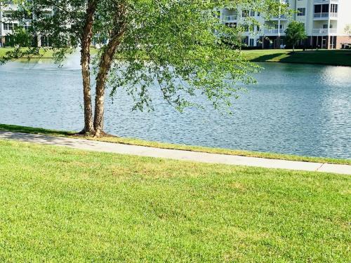 Central Myrtle Beach Casa | Astonishing view great condo at Myrtlewood Villas