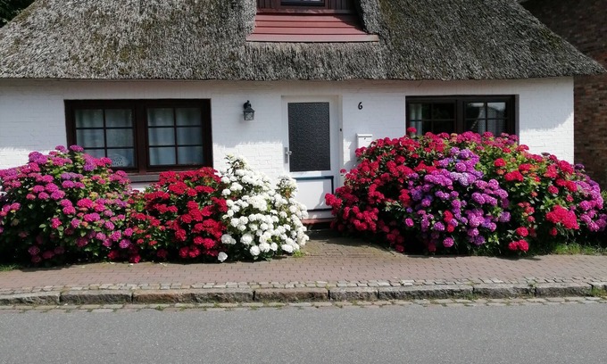 Schwabstedt Casa | En casa entre los mares - pareja de artistas alquiló su casa de verano.