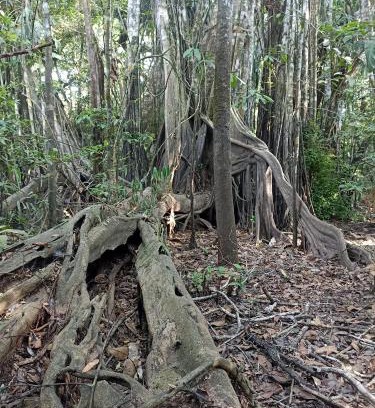 Puerto Narino Casa | Atacuari Salvaje Tours Amazonas