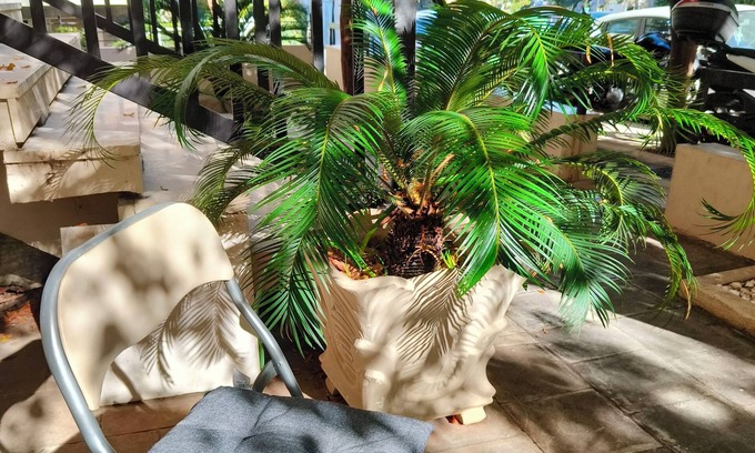 Nea Smirni Apartamento | Athens; lovely, private, comfortable, modern apartment, 7min. from center/beach