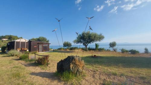 Ouranoupoli Casa | Athos SEAgull wagon