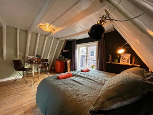 Grachtengordel-West Cama Y Desayuno | Attic Monkeys Lodge