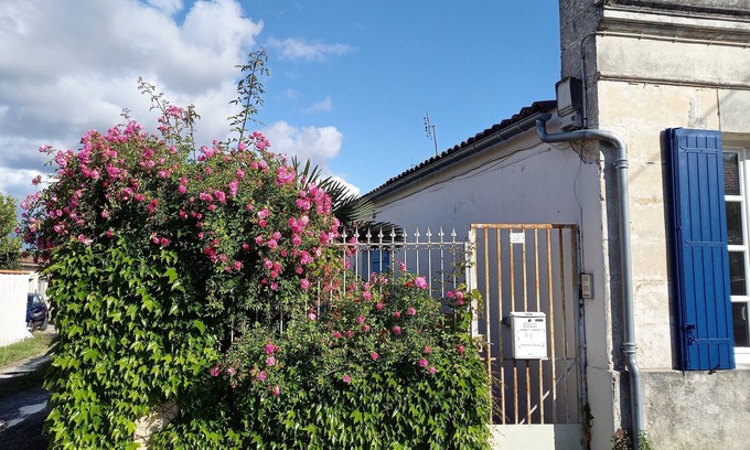 Rochefort Apartamento | Pretty and pretty new T2 of 30m2, near services, the city center and the cure