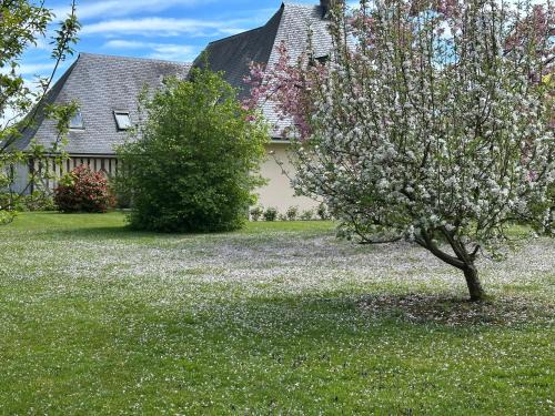 Saint-Pierre-Azif Cama Y Desayuno | Au Milieu des Haras