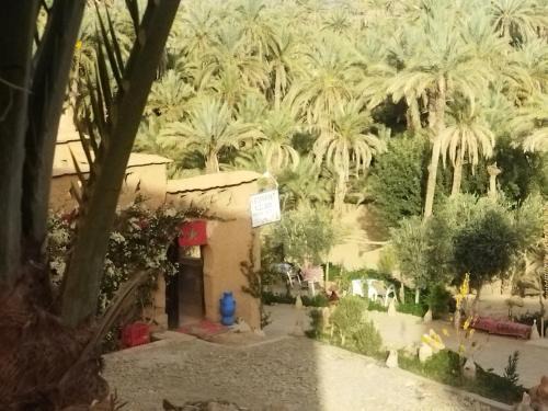 Nekob Casa | Auberge et Restaurant chez Alilouch