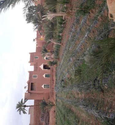 Tamgrout Casa | Auberge jnane dar diafa se trouve au centre de tamegrouteface de la bibiotheque