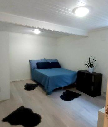 Tromso Casa | Aurora rooms in shared apartment nr1 We are doing privet northen light trip, reindeer trip and sommaroy Fjord trip