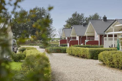 Hedwigenkoog Casa | Austernfischer