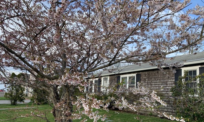 Barnstable Casa | Authentic Cape Cottage 50 yards from Beautiful Bay Beach!
