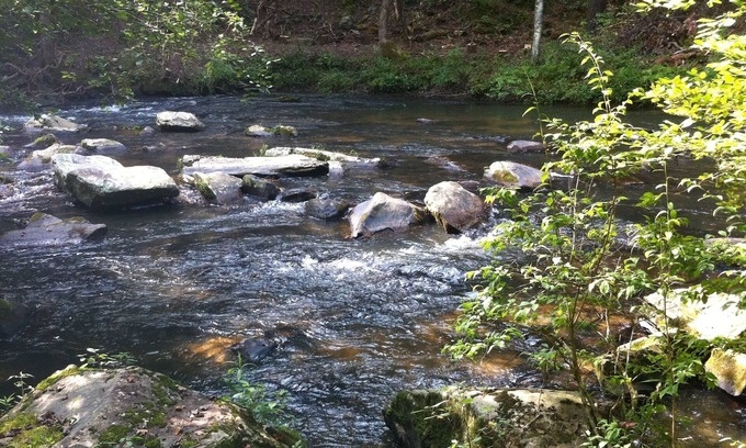 Ellijay Cabina | Fish Creel Lodge - Montañas N GA - Trofeo Trout Stream - Ellijay - 3 acres